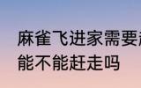 麻雀飞进家需要赶走吗 家中飞来麻雀能不能赶走吗