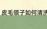 皮毛领子如何清洗 皮毛领子怎么清洗