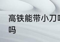 高铁能带小刀吗 高铁可以带刀具上去吗
