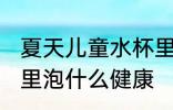 夏天儿童水杯里泡什么 夏天儿童水杯里泡什么健康