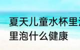 夏天儿童水杯里泡什么 夏天儿童水杯里泡什么健康