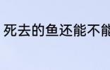 死去的鱼还能不能吃 死去的鱼能吃吗