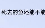 死去的鱼还能不能吃 死去的鱼能吃吗