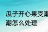 瓜子开心果受潮怎么办 瓜子开心果受潮怎么处理