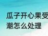瓜子开心果受潮怎么办 瓜子开心果受潮怎么处理