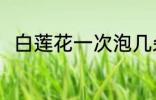 白莲花一次泡几朵 泡莲花白怎么泡