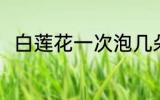 白莲花一次泡几朵 泡莲花白怎么泡