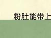粉肚能带上火车吗 粉肚的简介