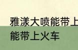 雅漾大喷能带上火车吗 雅漾大喷能不能带上火车