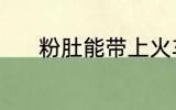 粉肚能带上火车吗 粉肚的简介