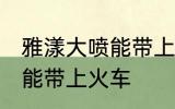雅漾大喷能带上火车吗 雅漾大喷能不能带上火车