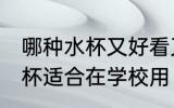 哪种水杯又好看又实用在学校 哪种水杯适合在学校用