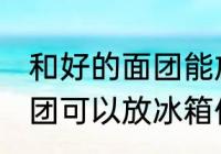 和好的面团能放冰箱保鲜吗 和好的面团可以放冰箱保鲜吗