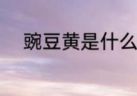 豌豆黄是什么做的 豌豆黄的做法