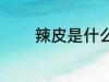 辣皮是什么做的 辣皮的做法