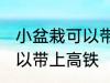 小盆栽可以带上高铁吗 盆栽是不是可以带上高铁