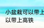 小盆栽可以带上高铁吗 盆栽是不是可以带上高铁