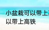 小盆栽可以带上高铁吗 盆栽是不是可以带上高铁