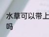 水草可以带上高铁吗 水草能带上高铁吗
