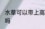 水草可以带上高铁吗 水草能带上高铁吗