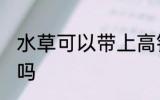 水草可以带上高铁吗 水草能带上高铁吗