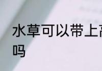 水草可以带上高铁吗 水草能带上高铁吗