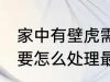 家中有壁虎需要赶走吗 家中有壁虎需要怎么处理最好呢