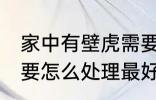 家中有壁虎需要赶走吗 家中有壁虎需要怎么处理最好呢