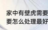 家中有壁虎需要赶走吗 家中有壁虎需要怎么处理最好呢