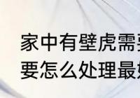 家中有壁虎需要赶走吗 家中有壁虎需要怎么处理最好呢