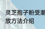 灵芝孢子粉受潮怎么办 灵芝孢子粉存放方法介绍