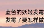 蓝色的妖姬发霉了怎么办 蓝色的妖姬发霉了要怎样做