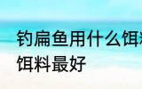 钓扁鱼用什么饵料最好 钓扁鱼用哪些饵料最好