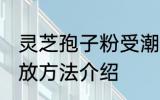 灵芝孢子粉受潮怎么办 灵芝孢子粉存放方法介绍