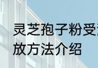 灵芝孢子粉受潮怎么办 灵芝孢子粉存放方法介绍