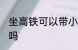 坐高铁可以带小狗吗 坐高铁能带小狗吗
